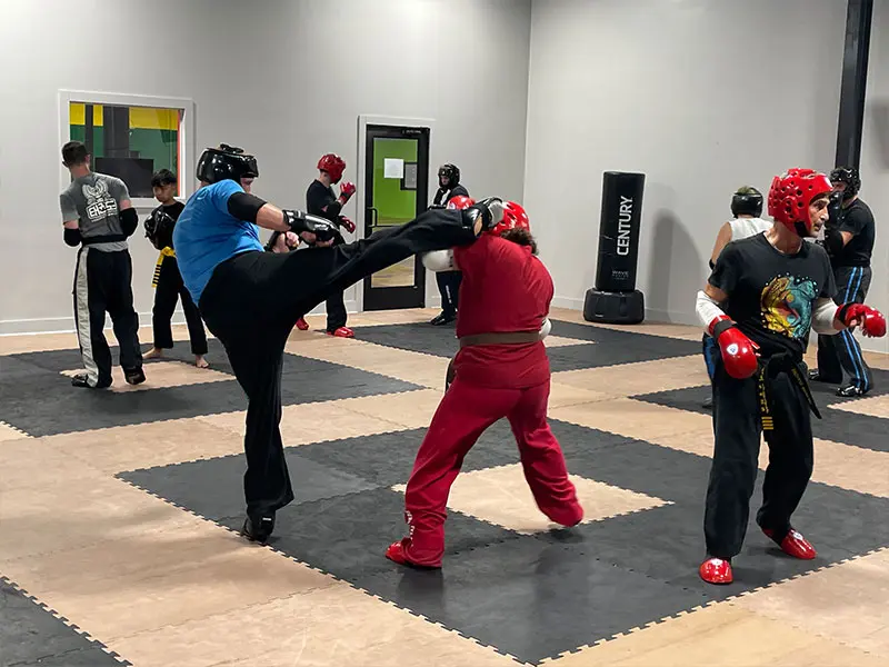 adult martial arts for self-defense training